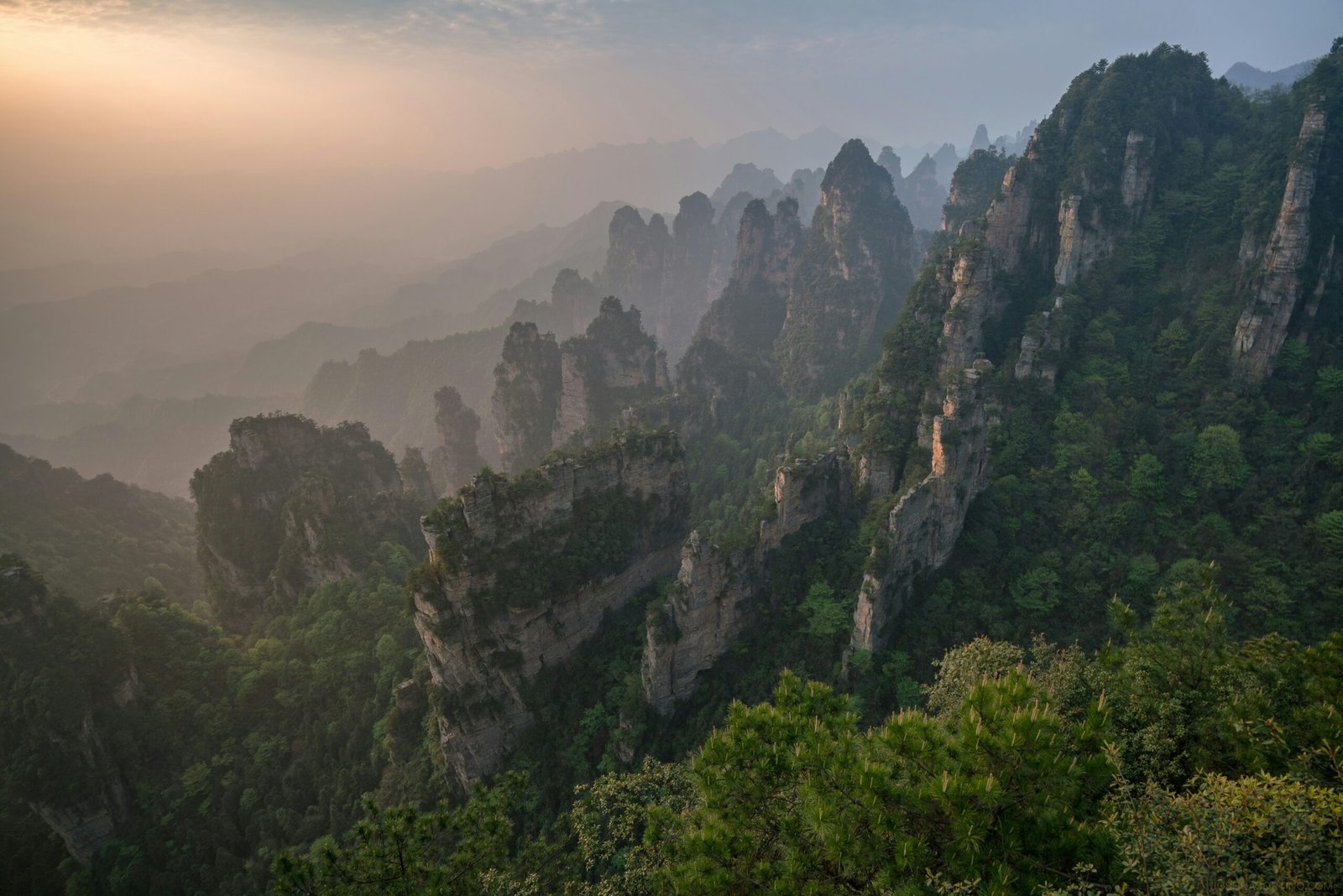 Sandstenspelare i dimma i Zhangjiajies nationalpark